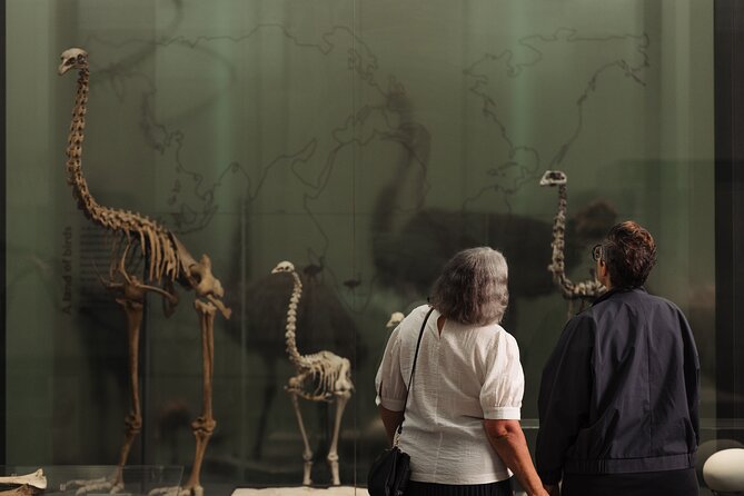 Skip the Line: Auckland Museum General Admission Ticket - Is $16.76 good value?
