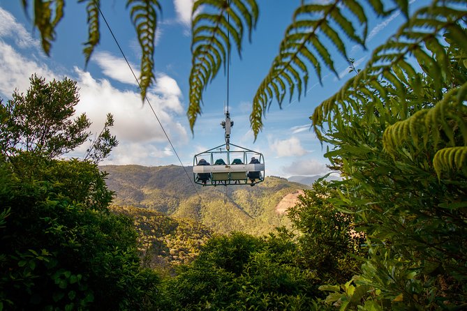 Skywire Adventure at Cable Bay, Nelson - Practical tips for a smoother visit