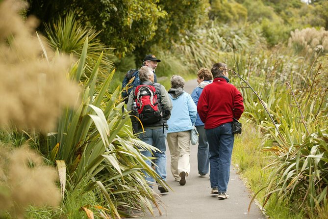 Small Group Daytime 2-Hour Eco Wildlife Tour at Zealandia - The birds you may hear before you see