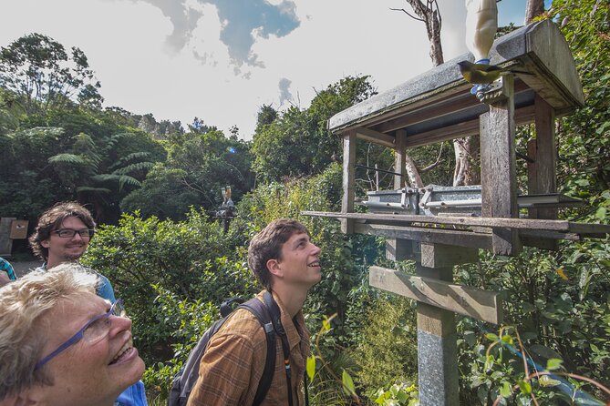 Small Group Daytime 2-Hour Eco Wildlife Tour at Zealandia - Walking the forest and wetland tracks