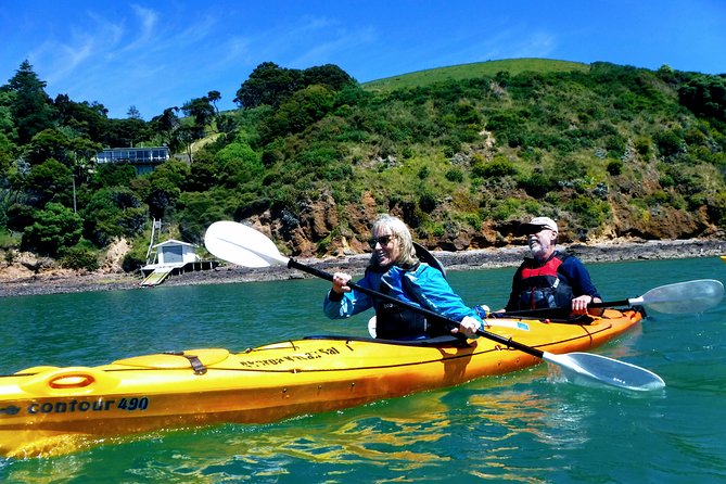 Small group guided sea kayaking in Akaroa marine reserve - Why Akaroa is such a good place to kayak