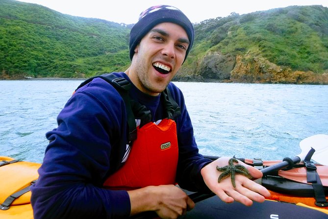 Small group guided sea kayaking in Akaroa marine reserve - Getting comfortable in the kayak