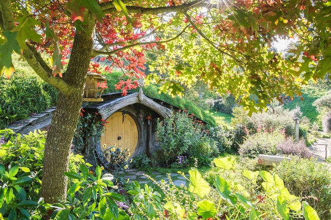 Small-Group Hobbiton and Waitomo Day Tour with Lunch from Auckland - Auckland to Hobbiton: a long but useful morning drive