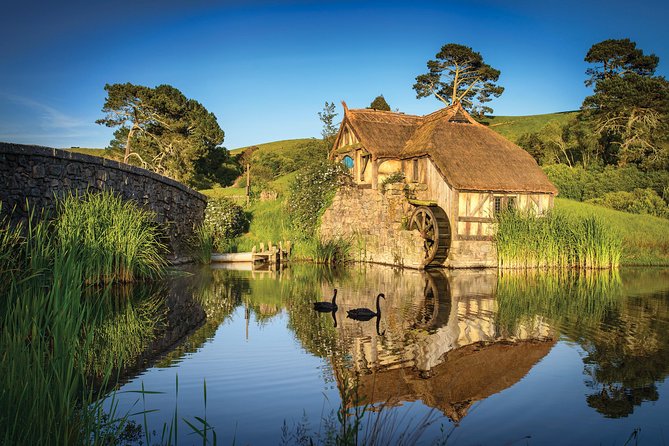 Small-Group Hobbiton Tour from Auckland with Party Marquee Lunch - The small-group advantage, and its limits