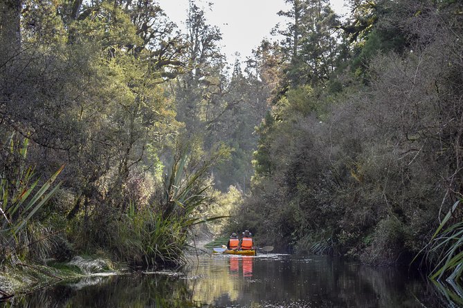 Small-Group Kayak Adventure from Franz Josef Glacier - Is $92.47 a fair price?