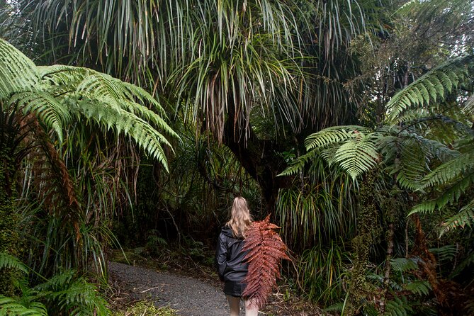 Small Group Northern Voyager 7 Days Tour - Day 3: Make Rotorua your activity day