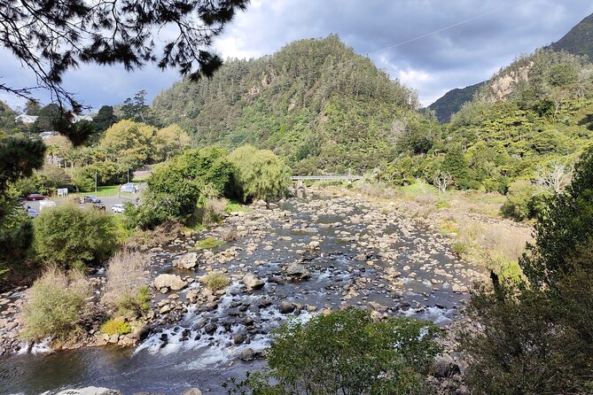 Small Group Tour To Karangahake Gorge & Waihi Gold Exploration - Lunch at Waikino Station Café