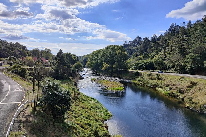 Small Group Tour To Karangahake Gorge & Waihi Gold Exploration - The return to Auckland