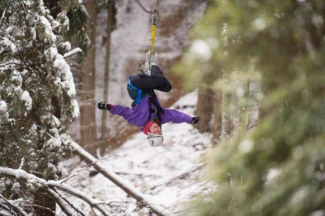 Small-Group Zipline Adventure in Queenstown - Is the price fair for two hours?