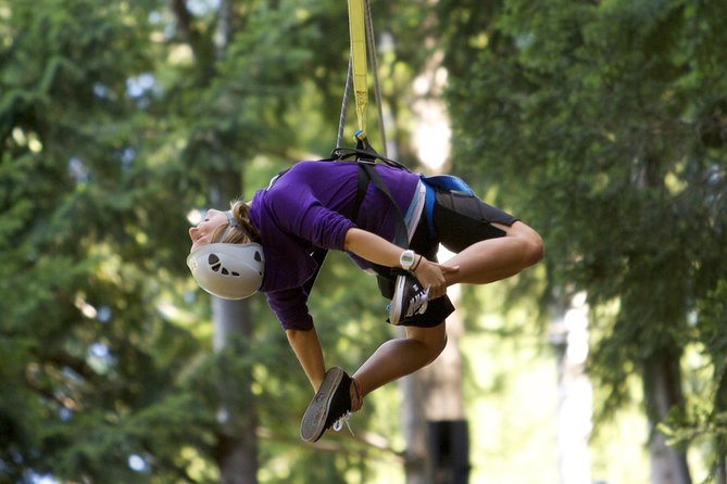 Small-Group Zipline Adventure in Queenstown - Who will enjoy Ziptrek most?