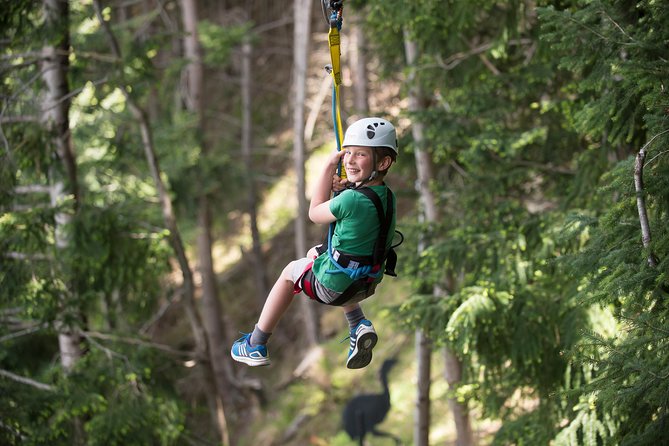 Small-Group Zipline Adventure in Queenstown - From the first treehouse to the final line