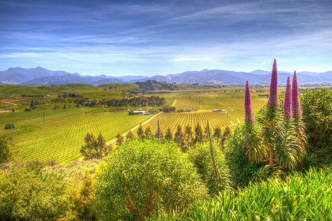 Solo Traveller Full Day Wine Gourmet and Scenic Delights Tour from Blenheim - The Vines Village brings in local flavors