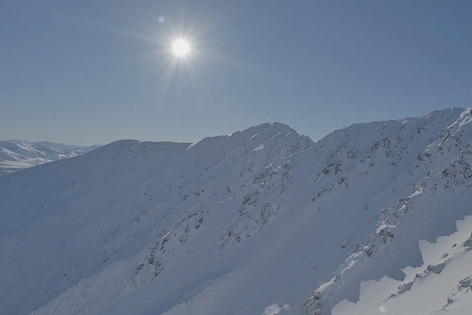 Southern Alps Scenic - Who will enjoy this flight most?