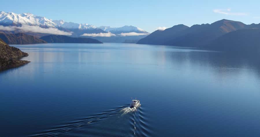 Stevensons Island 2-Hour Cruise and Nature Walk - Key points to know before you book