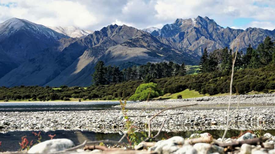 Stevensons Island 2-Hour Cruise and Nature Walk - FAQ