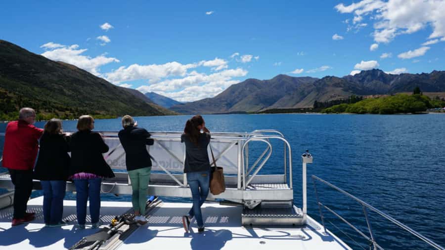 Stevensons Island 2-Hour Cruise and Nature Walk - The return cruise and the promised cuppa