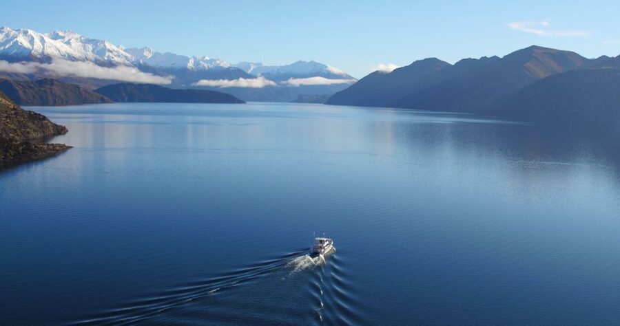 Stevensons Island 2-Hour Cruise and Nature Walk - Who will enjoy this trip most