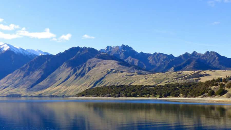 Stevensons Island 2-Hour Cruise and Nature Walk - Practical advice for a better outing