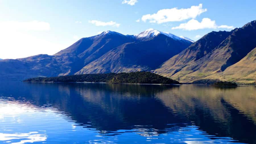 Stevensons Island 2-Hour Cruise and Nature Walk - Is Stevensons Island worth booking?