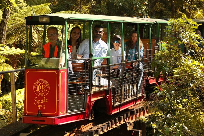 [Stevong Travel] West Coromandel Day Tour - Why this private Coromandel day works