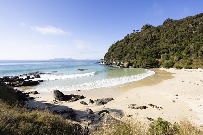 Stewart Island: Guided Wilderness Walk - Starting at the Oban ferry terminal