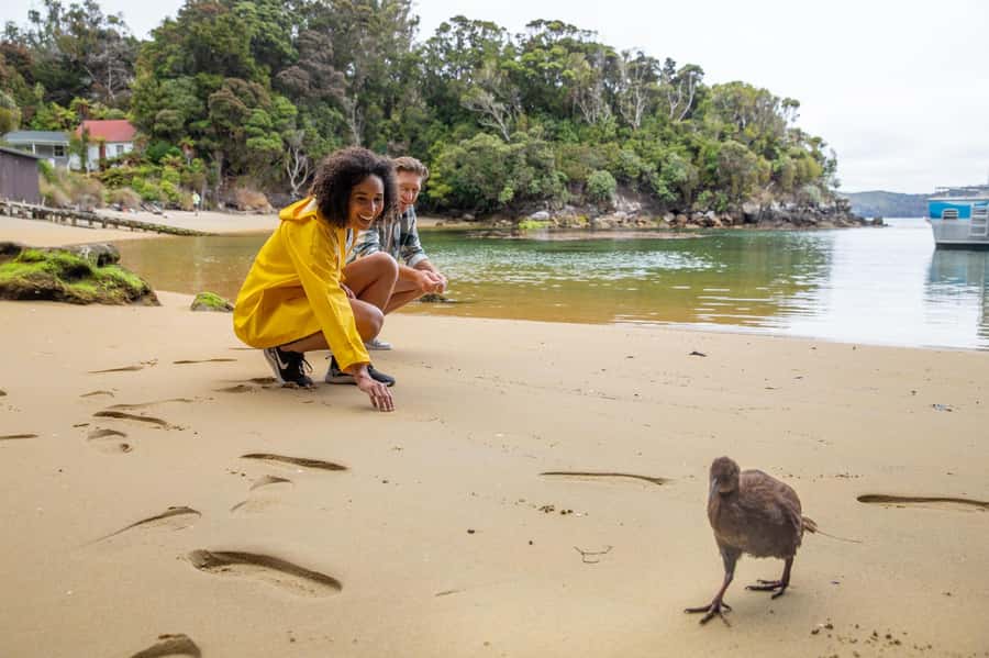 Stewart Island: Ulva Island Guided Wilderness Walk & Cruise - Key points at a glance