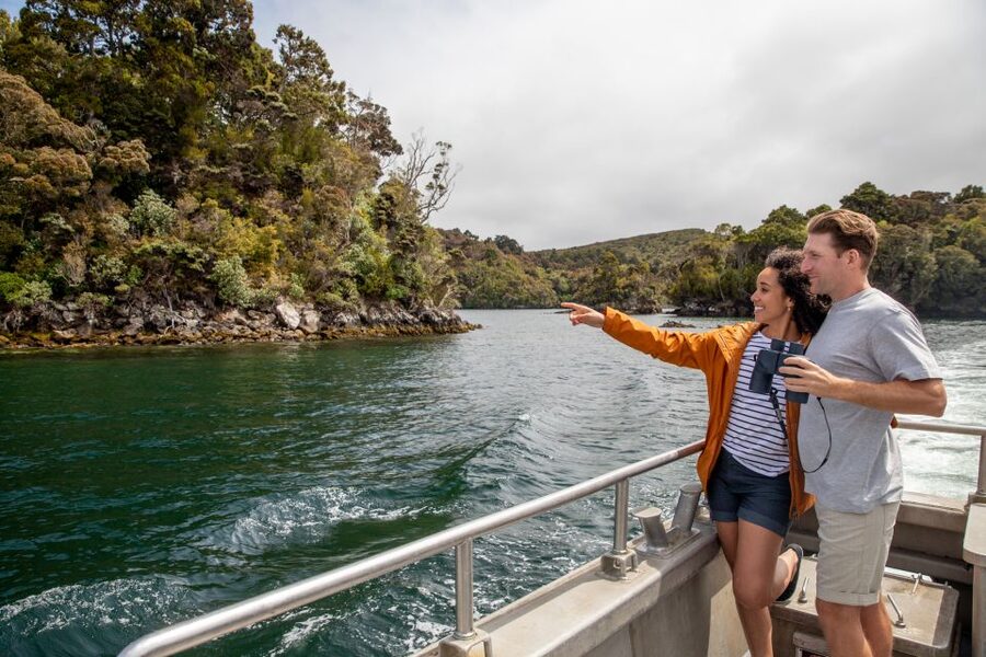 Stewart Island: Ulva Island Guided Wilderness Walk & Cruise - Booking details and what to bring