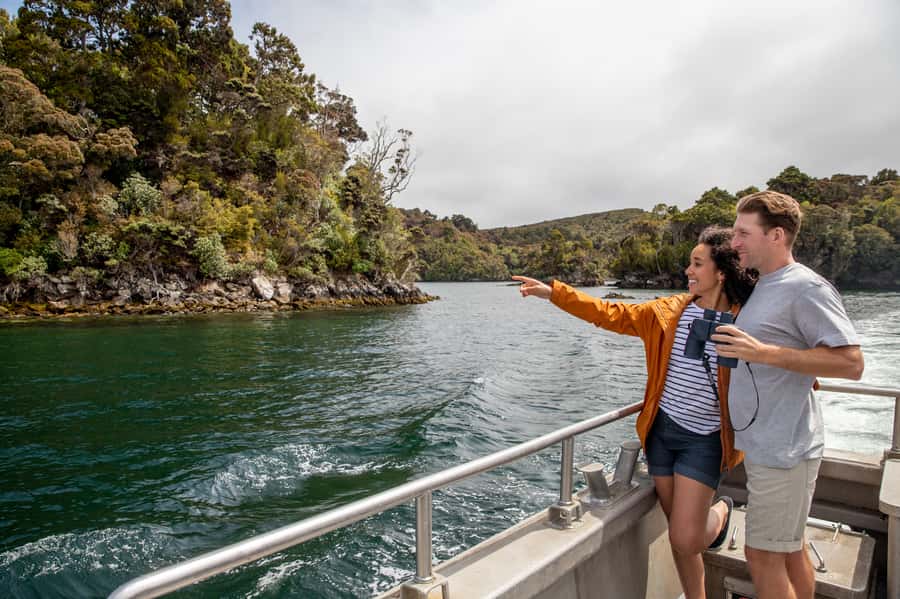 Stewart Island: Ulva Island Guided Wilderness Walk & Cruise - Why Ulva Island is worth your time