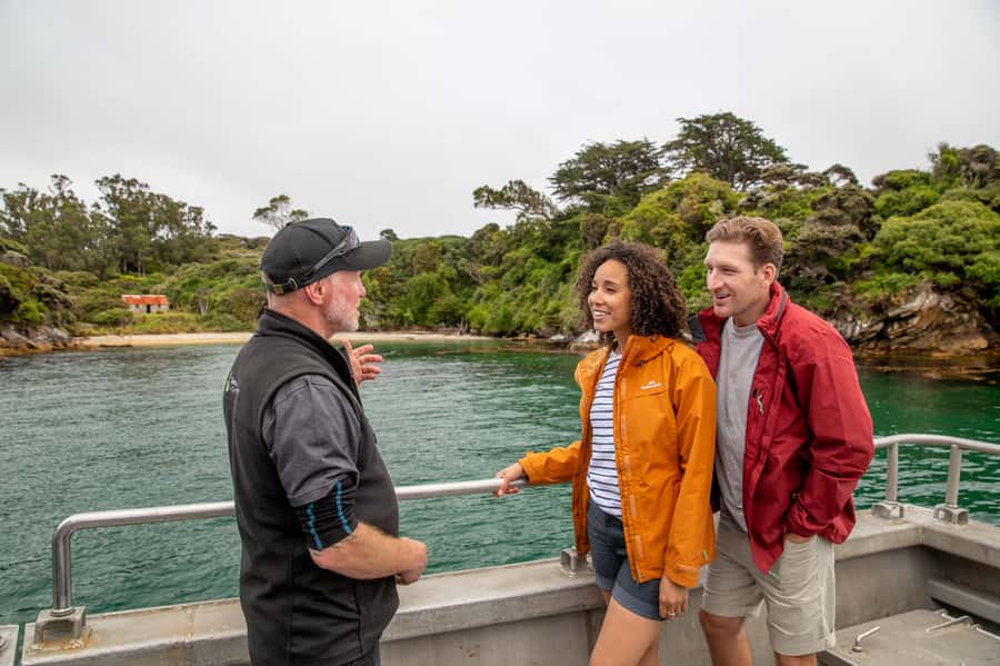 Stewart Island: Ulva Island Guided Wilderness Walk & Cruise - Watching for seals, penguins, and seabirds