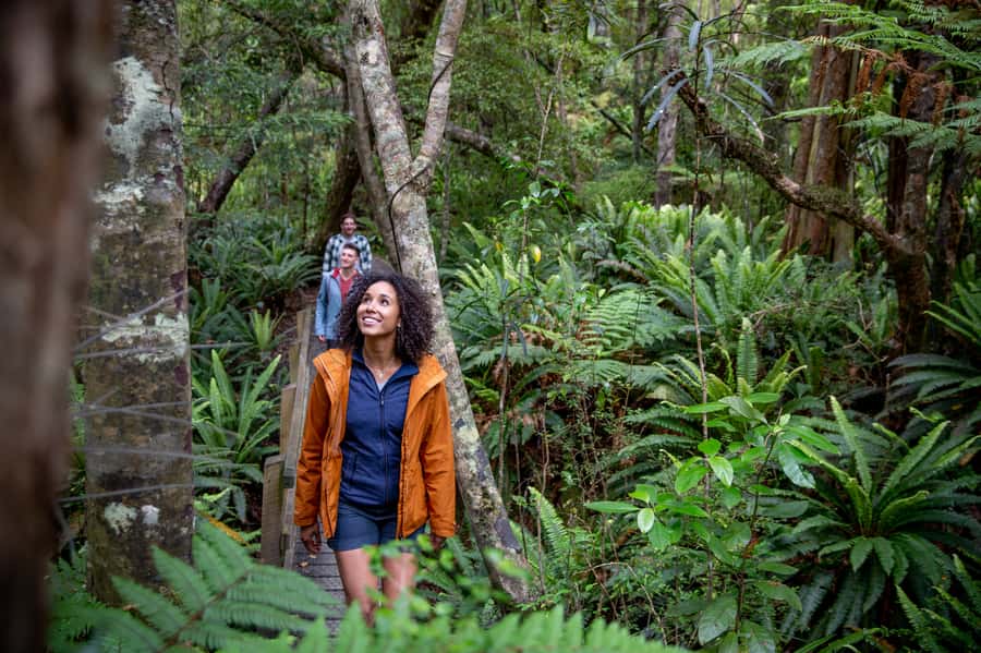 Stewart Island: Ulva Island Guided Wilderness Walk & Cruise - The guided walk through Ulva Island