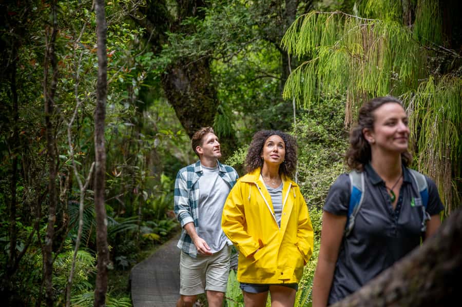 Stewart Island: Ulva Island Guided Wilderness Walk & Cruise - Is $86 good value?