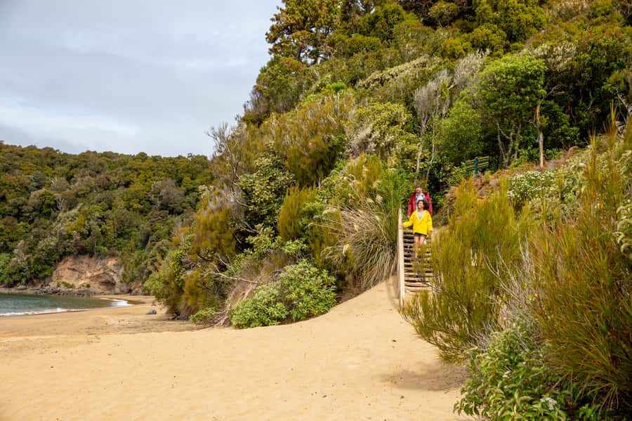 Stewart Island: Ulva Island Guided Wilderness Walk & Cruise - Small groups and strong guiding