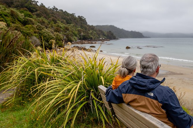 Stewart Island: Village and Bays Tour - What the minibus adds to the experience