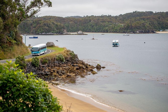 Stewart Island: Village and Bays Tour - The value of $35 per person