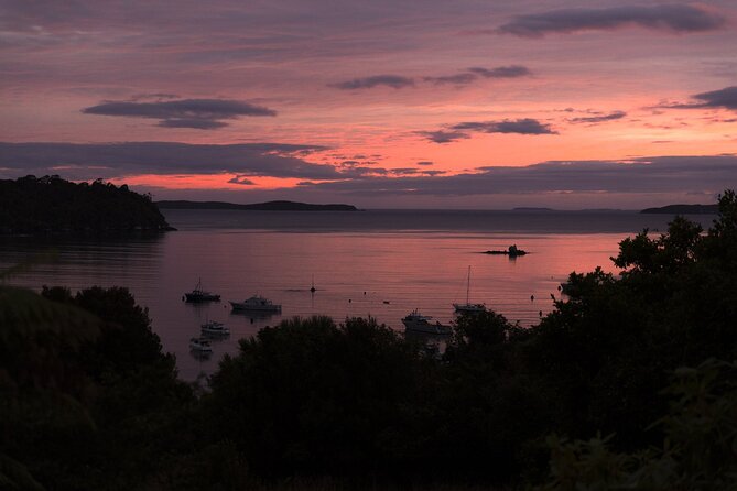 Stewart Island: Wild Kiwi Experiences - Is $154 good value?