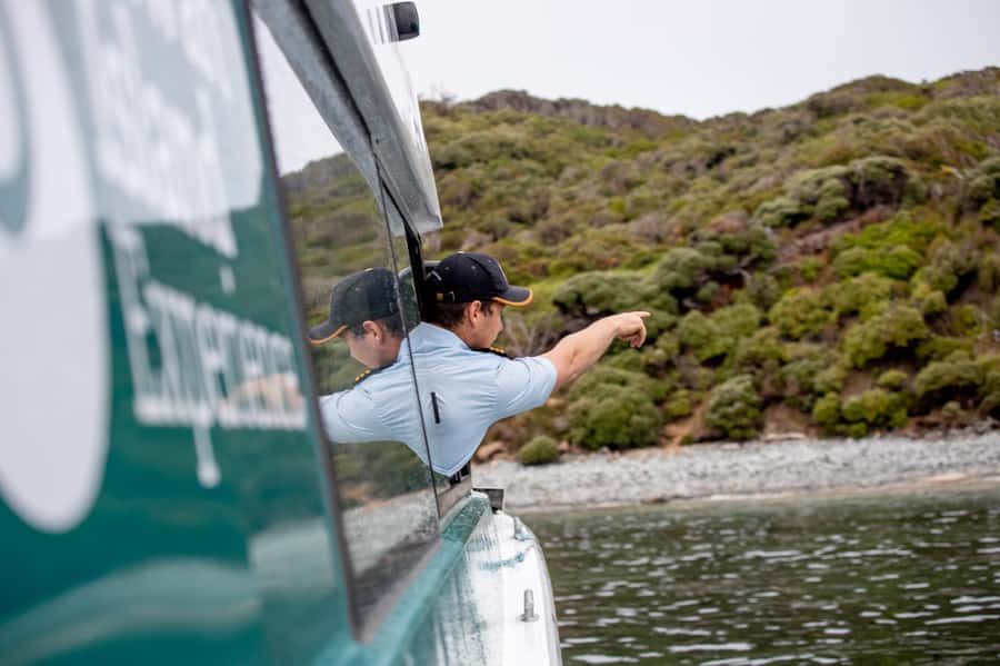 Stewart Island: Wild Kiwi Experiences - Who should book this Stewart Island tour?