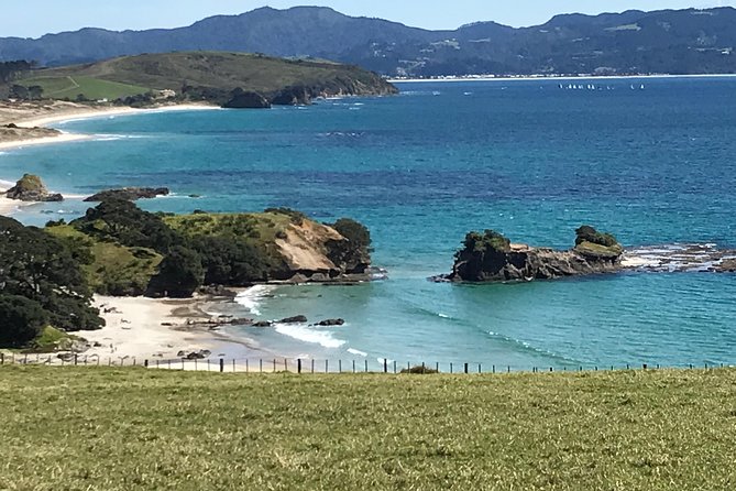 Stunning Auckland East Coast Walk & Wine Private Tour - Why this Auckland day trip works