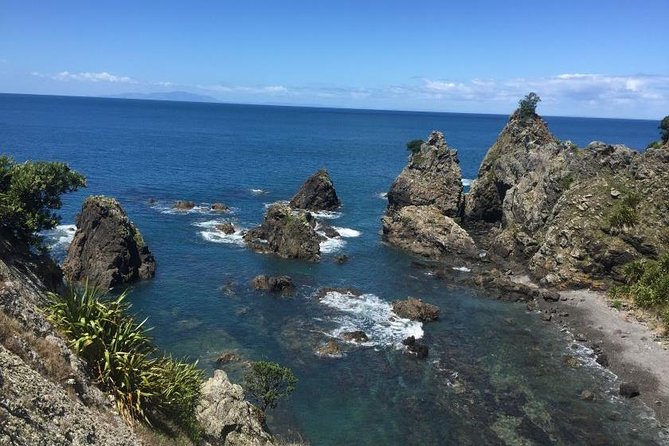 Stunning Auckland East Coast Walk & Wine Private Tour - Walking the East Coast Regional Park