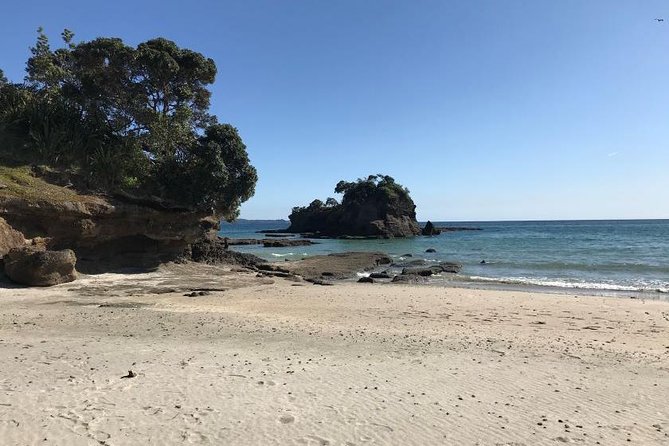 Stunning Auckland East Coast Walk & Wine Private Tour - Is $366.14 per person fair value?