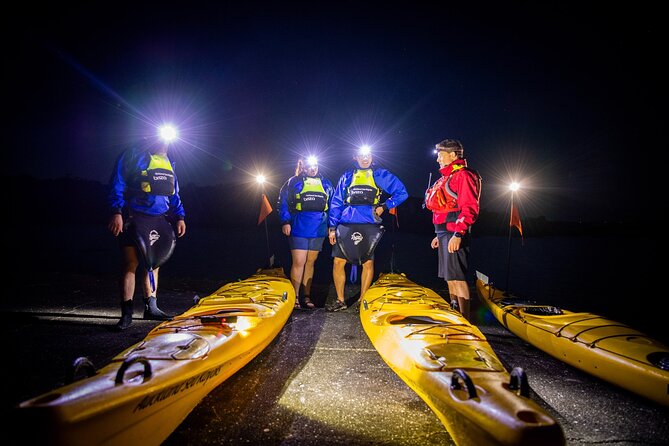 Sunset kayak tour to Rangitoto Island - The walk down in darkness
