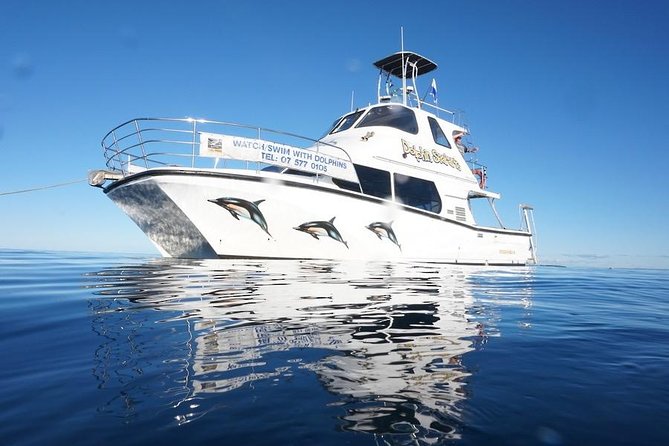 Swim With Wild Dolphins in Tauranga - Leaving Tauranga Bridge Marina at 9:00 am