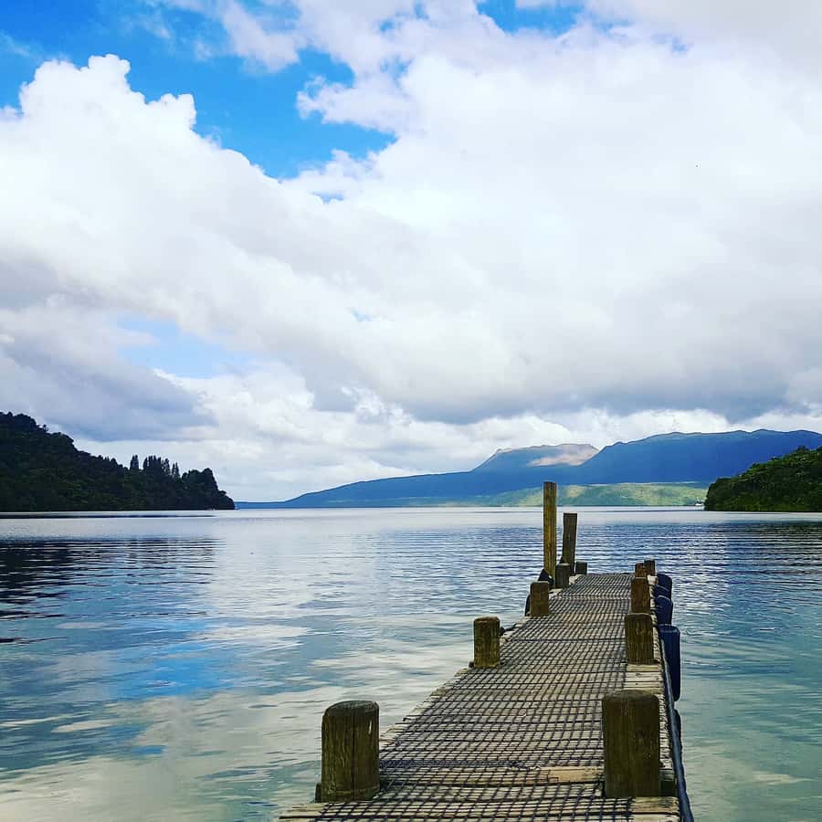 Tarawera and Lakes 2-Hour Duck Eco Tour - Splashing onto Lake Tarawera