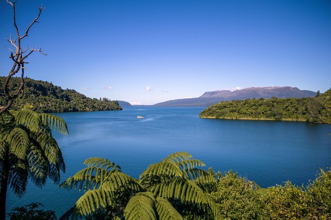 Tarawera and Rotorua Lakes Eco Tour by Boat with Guide - Starting on Fenton Street at 3:30 pm