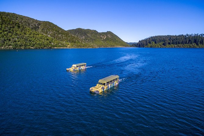 Tarawera and Rotorua Lakes Eco Tour by Boat with Guide - What the two-hour schedule really gives you