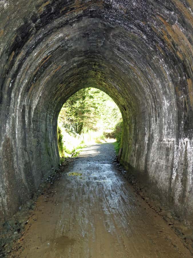 Tasman's Great Taste Trail: Spooner's Tunnel to Tāhunanui - Brightwater and the Lord Rutherford connection