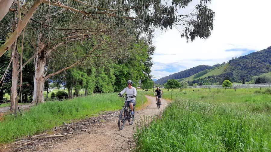 Tasman's Great Taste Trail: Spooner's Tunnel to Tāhunanui - Optional stops at Pic’s and the Classic Car Museum