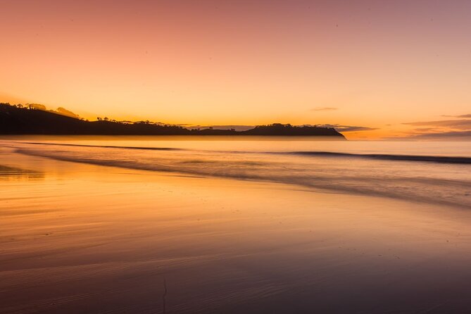 Taste of Waiheke Food and Wine Tour - The guide can shape the whole day