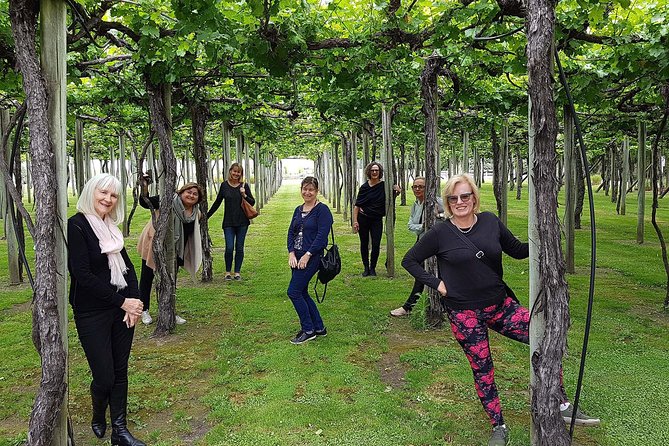 Taste the Valley Wine Tour in Marlborough with Wine Tasting - Lunch, bags, and what to bring