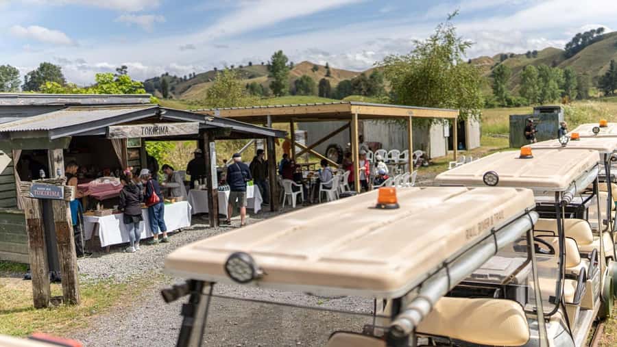 Taumarunui: Forgotten World Rail Cart Tour with Lunch - The details that make this rail journey special