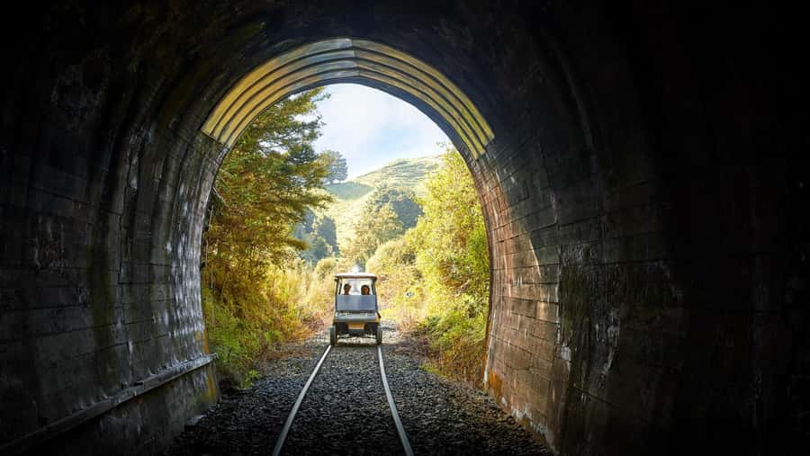 Taumarunui: Forgotten World Rail Cart Tour with Lunch - Why the Forgotten World Railway is worth your time
